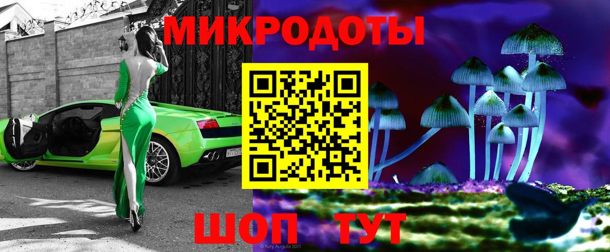 Шали  Галлюциногенные грибы Psilocybine cubensis  Вход с VPN 